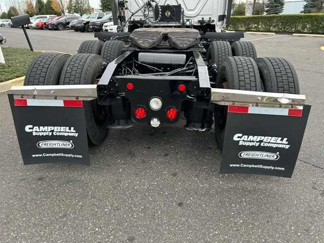 2019 Freightliner CASCADIA 113 - image 4 of 6